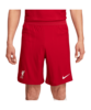 Nike FC Liverpool Short Home 2023/2024 Rot F687