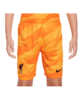 Nike FC Liverpool Torwartshort 2023/2024 Kids Gelb F705