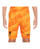 Nike FC Liverpool Torwartshort 2023/2024 Kids Gelb F705