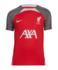 Nike FC Liverpool Trainingsshirt Kids Rot F688