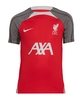 Nike FC Liverpool Trainingsshirt Kids Rot F688