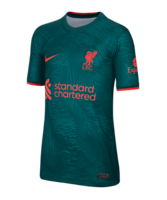 Nike FC Liverpool Trikot UCL 2022/2023 Kids Grün F377