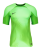 Nike Foundation kurzarm Torwarttrikot F398