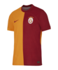 Nike Galatasaray Istanbul Auth. Trikot Home 2023/2024 Orange F836