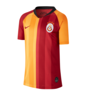 Nike Galatasaray Istanbul Trikot Home 2019/2020 Kids F628