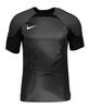Nike Gardien IV Torwarttrikot Grau F060