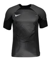 Nike Gardien IV Torwarttrikot Grau F060
