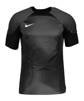 Nike Gardien IV Torwarttrikot Grau F060