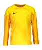 Nike Gardien IV Torwarttrikot langarm Kids F719