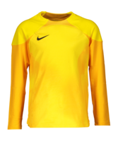 Nike Gardien IV Torwarttrikot langarm Kids F719