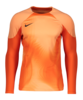 Nike Gardien IV Torwarttrikot langarm Kids F819