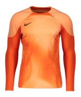 Nike Gardien IV Torwarttrikot langarm Kids F819