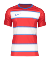 Nike Graphics 2 Trikot kurzarm Kids Rot F657
