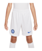 Nike Inter Mailand Short Away 2023/2024 Kids F100