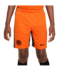 Nike Inter Mailand Short UCL 2023/2024 Kids F819