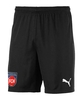 PUMA 1. FC Heidenheim TW-Short 2023/2024 Schwarz F03
