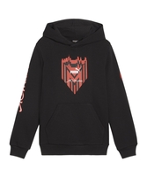 PUMA AC Mailand ftblICONS Hoody Kids Schwarz F09