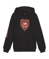 PUMA AC Mailand ftblICONS Hoody Kids Schwarz F09
