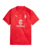 PUMA AC Mailand Trainingsshirt Kids Rot Grau F12