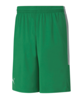 PUMA Basketball Game Short Grün F03