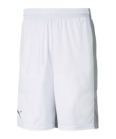 PUMA Basketball Game Short Weiss F02