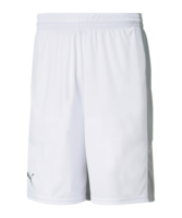 PUMA Basketball Game Short Weiss F02
