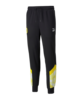 PUMA BVB Dortmund Iconic Trainingshose Kids F02
