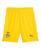 PUMA BVB Dortmund Short 2023/2024 Gelb F01