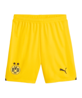 PUMA BVB Dortmund Short 2023/2024 Gelb F01