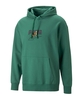 PUMA DOWNTOWN Graphic Hoody Grün F37