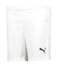 PUMA Österreich Short Home EM 2021 Weiss F02
