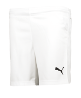 PUMA Österreich Short Home EM 2021 Weiss F02