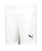PUMA Österreich Short Home EM 2021 Weiss F02