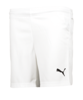 PUMA Österreich Short Home EM 2021 Weiss F02