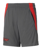 PUMA X BATMAN Short Kids Grau F04