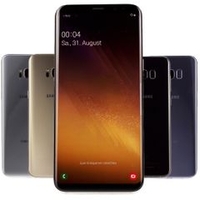 Samsung Galaxy S8 SM-G950F Smartphone - 64GB - Orchid Grau - Gut