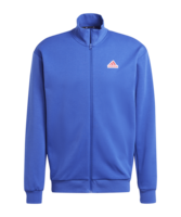 adidas Future Icons Badge of Sport Sweatshirt Blau