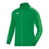 Jako Polyesterjacke Striker grün