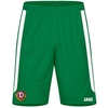 JAKO Dynamo Dresden TW Short Home (sportgrün / Größe 128 / Kinder)