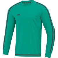 JAKO TW-Trikot TLS (Blau / Größe 116 / Kinder)
