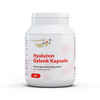 Hyaluron Gelenk (60 Kps)