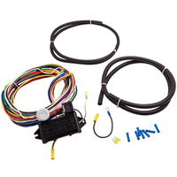 12 Stromkreise Universal Innenausstattung Wire Harness Kabel Kabelbaum