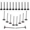 20x Einlassventil + Auslassventil kompatibel für Volvo C30 C70 V50 S40 2.4L 2.5L 9454607