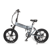 7S-Gang Magnesiumlegierung integriertes Rad 4.0 Fettreifen 48V10AH 500W mittelgroßes LCD-Elektrofahrrad