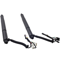 Paar Hinten Gasdruckfeder Feder kompatibel für BMW X6 E71 E72 F16 F86 51244887654 7332697