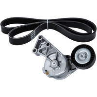 RIEMENSPANNER KEILRIPPENRIEMEN KIT kompatibel für AUDI A3 8L1 kompatibel für VW GOLF IV 1J1 BORA 1J2