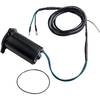 Tilt Trim Motor Für Evinrude 50 60 100 110 140 150 200 275 300HP 1983-1992 2.5L
