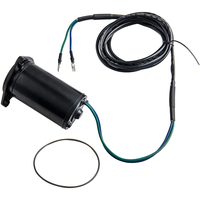 Tilt Trim Motor Für Evinrude 50 60 100 110 140 150 200 275 300HP 1983-1992 2.5L