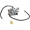 Vergaser kompatibel für Suzuki ALT125 LT125 1983-1987 LT 185 Quadrunner 83-87 13200-18901