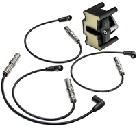 Zündspule + Zündkabelsatz kompatibel für Audi A4 8E kompatibel für VW Golf 4 Bora 1J Passat 3B 1.6